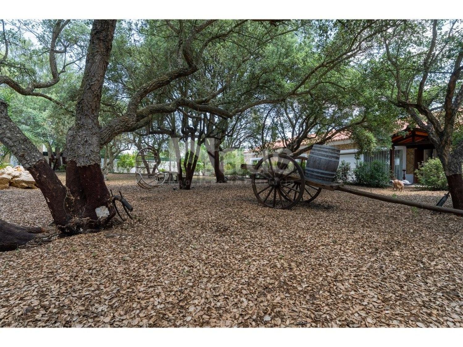 庄园出售在Centro - 花园