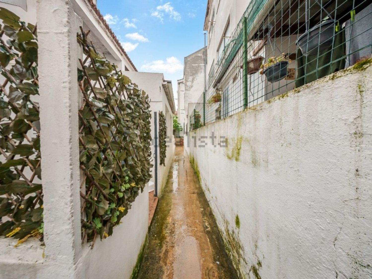 公寓 t2出售在Rua Dom João de Castro - 共同区域