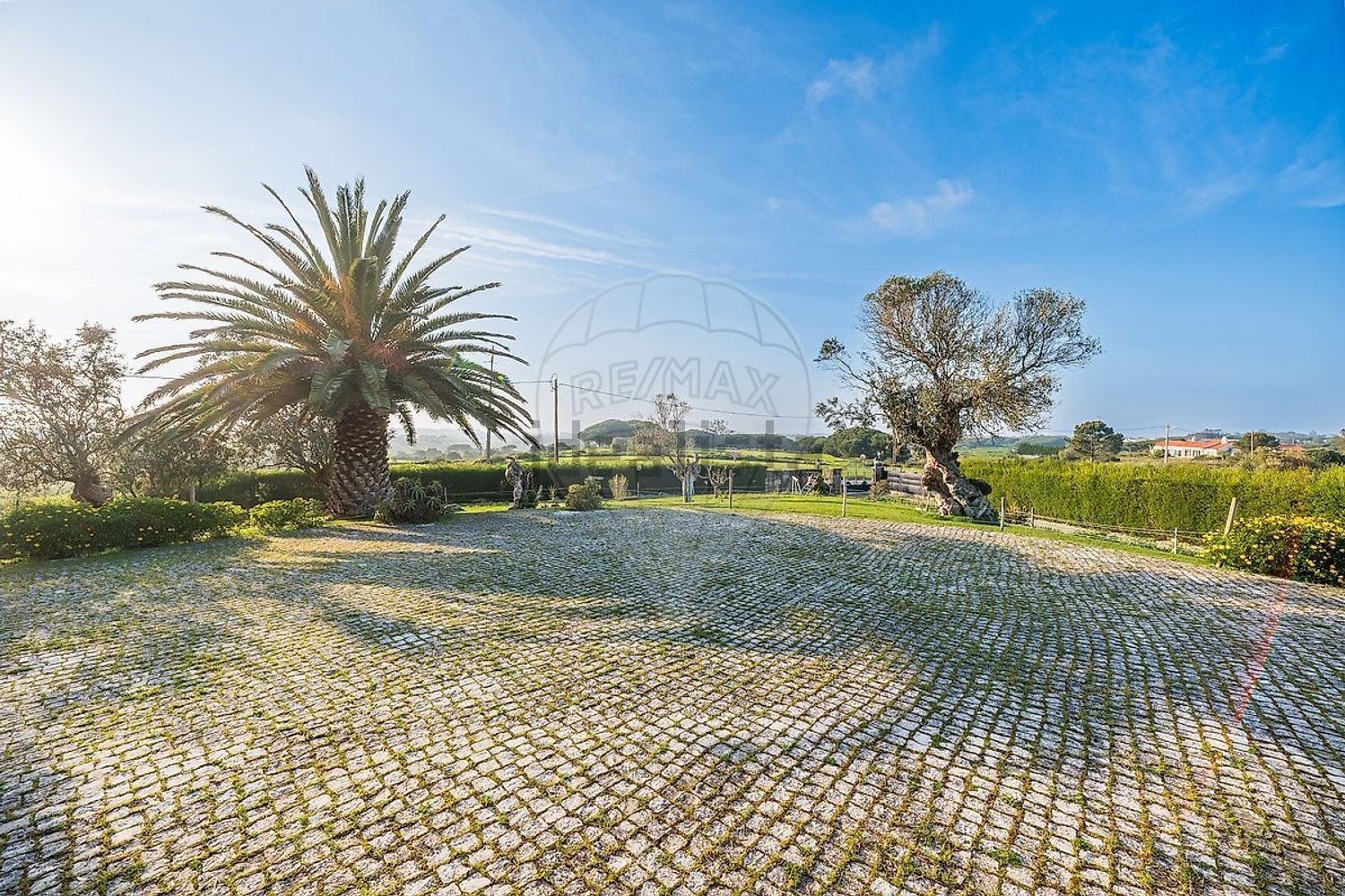 小楼房或独栋别墅出售在Rua das Macieiras - 花园