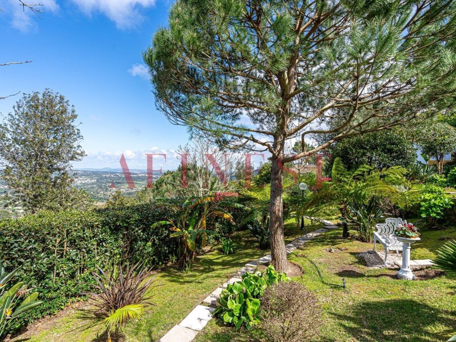 出租小楼房或独栋别墅在Rua Alto do Tanque Novo - 花园