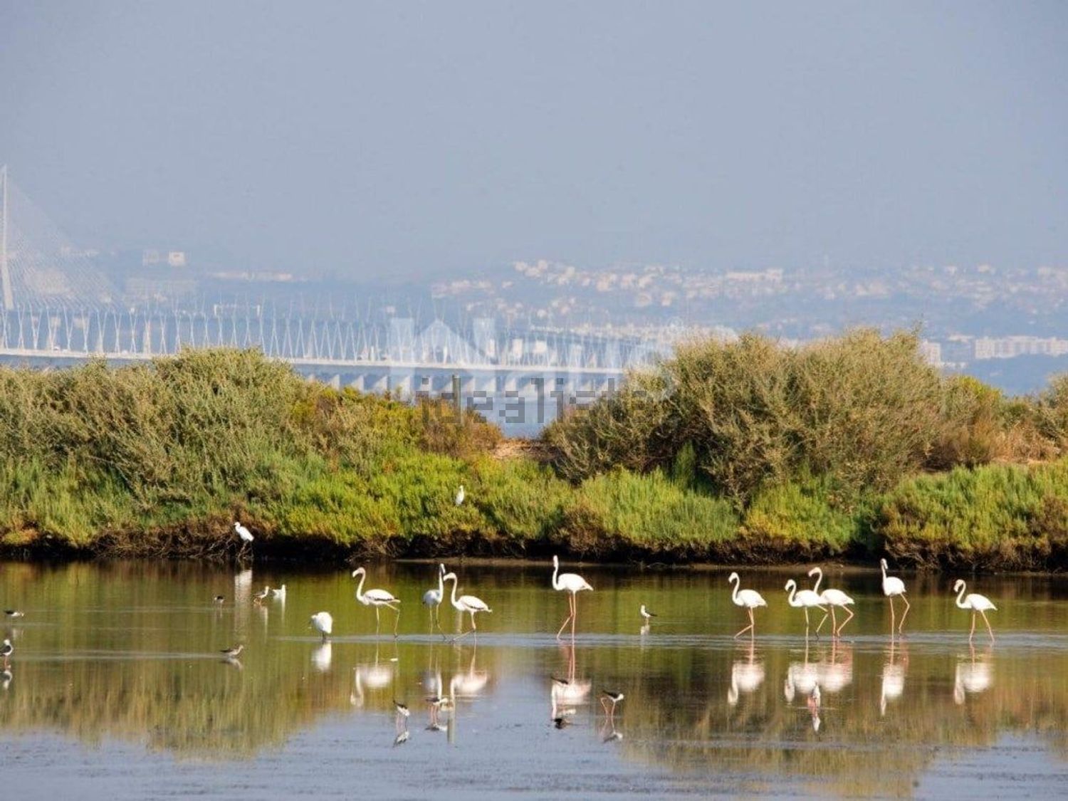 联排别墅出售在Rua dos Morangos - 视线