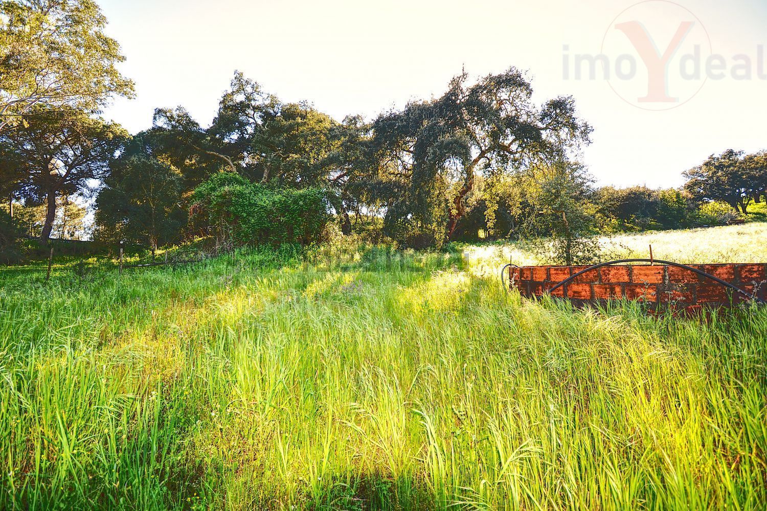 庄园出售在Melides - 花园
