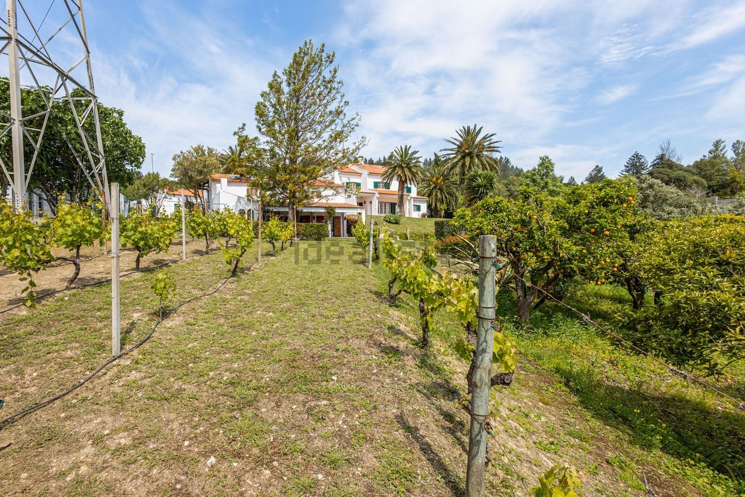 小楼房或独栋别墅出售Estr. da Serralheira de Baixo - 花园