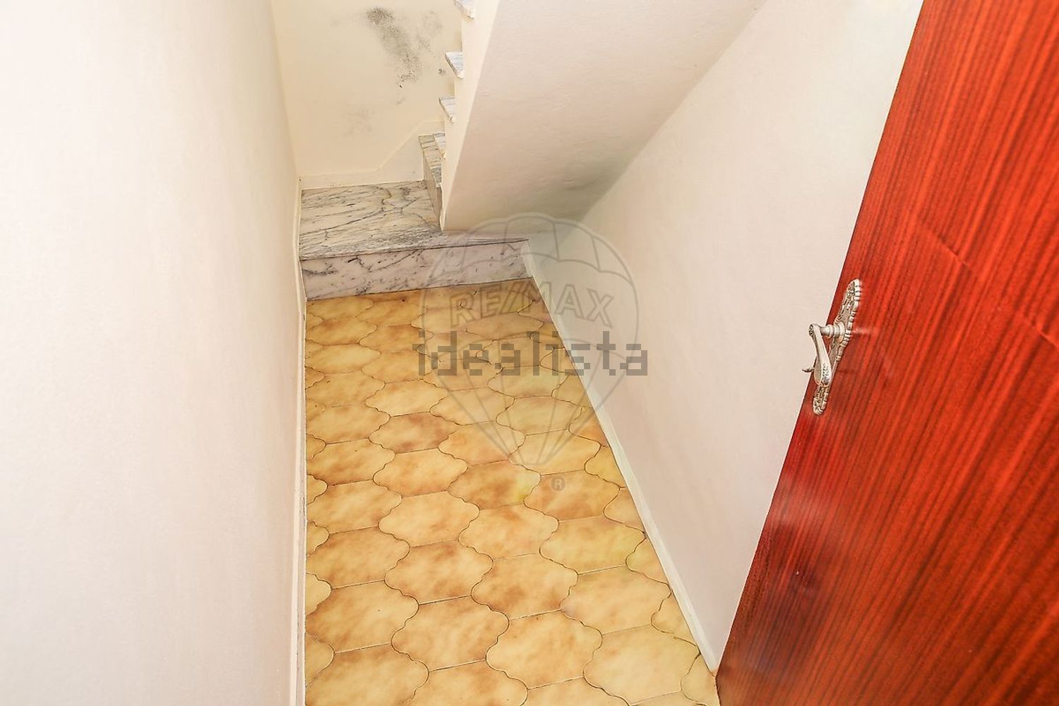 小楼房或独栋别墅出售Azinhaga Areosa - 照片