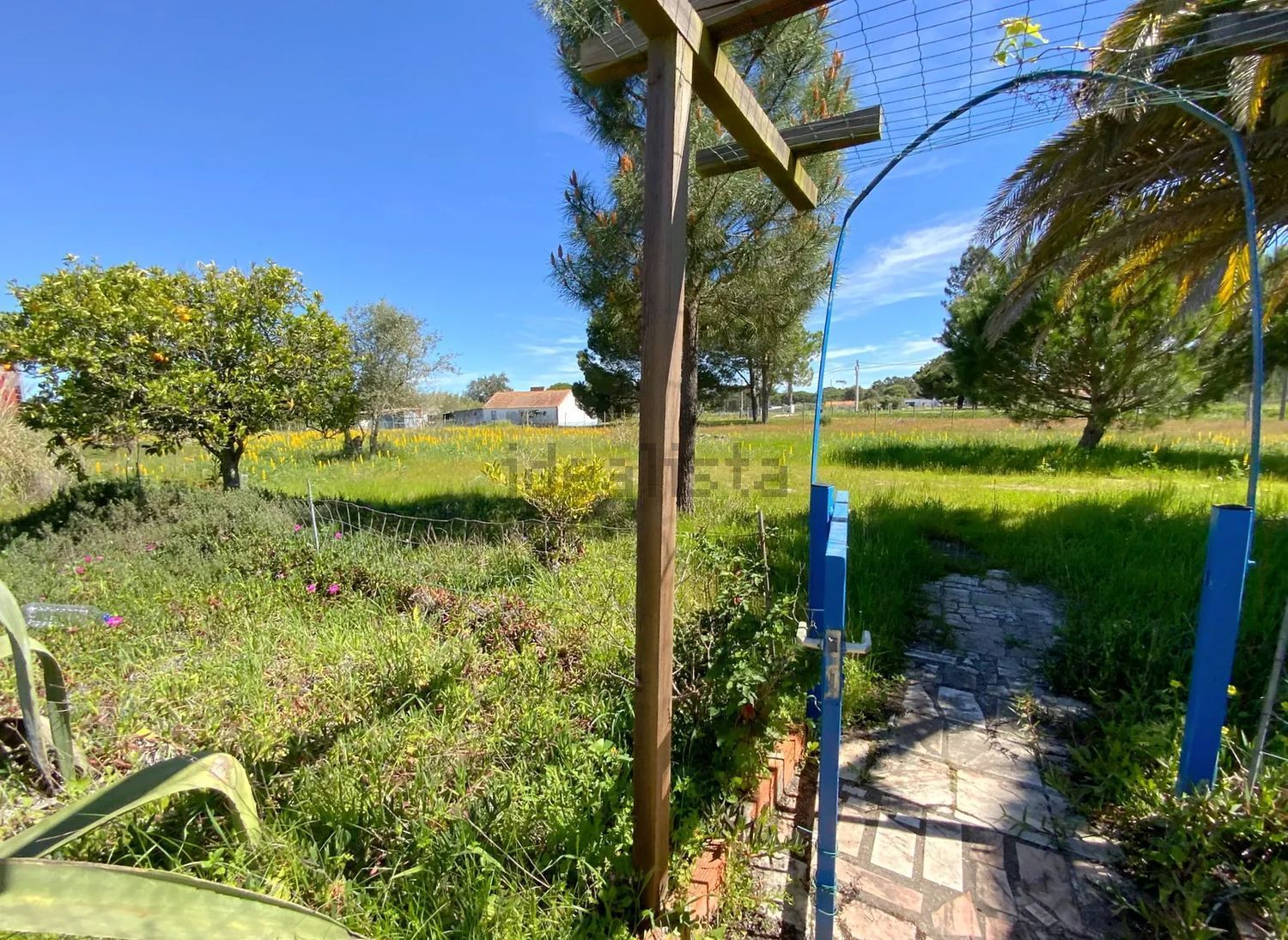 小楼房或独栋别墅出售Grandola - 花园