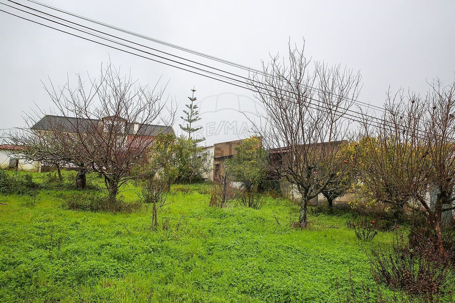 小楼房或独栋别墅出售Azinhaga Areosa - 花园