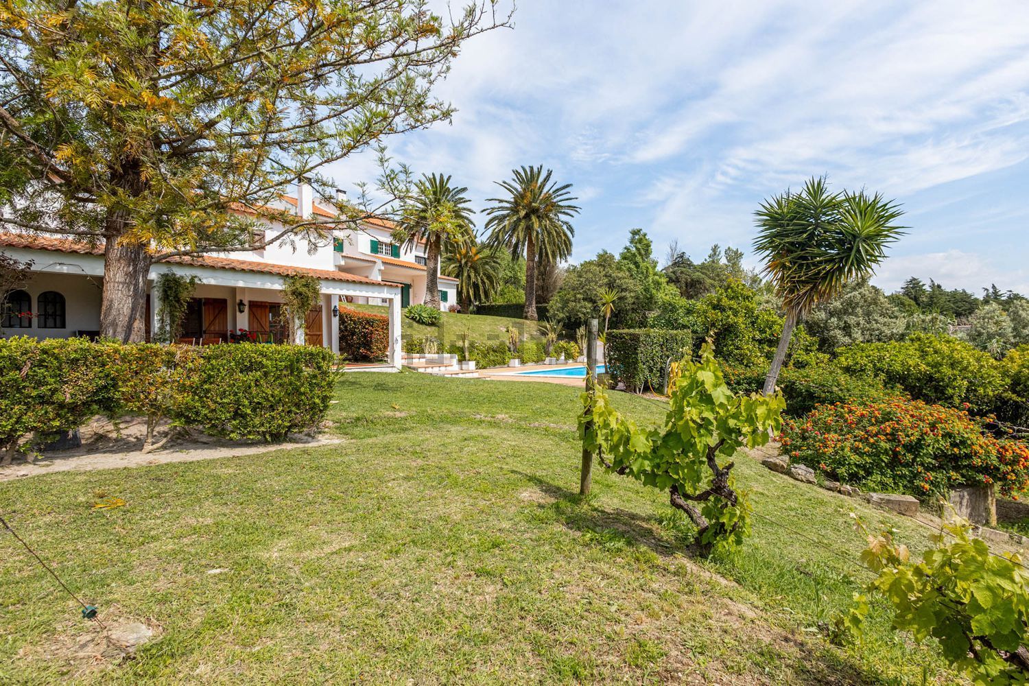 小楼房或独栋别墅出售Estr. da Serralheira de Baixo - 花园