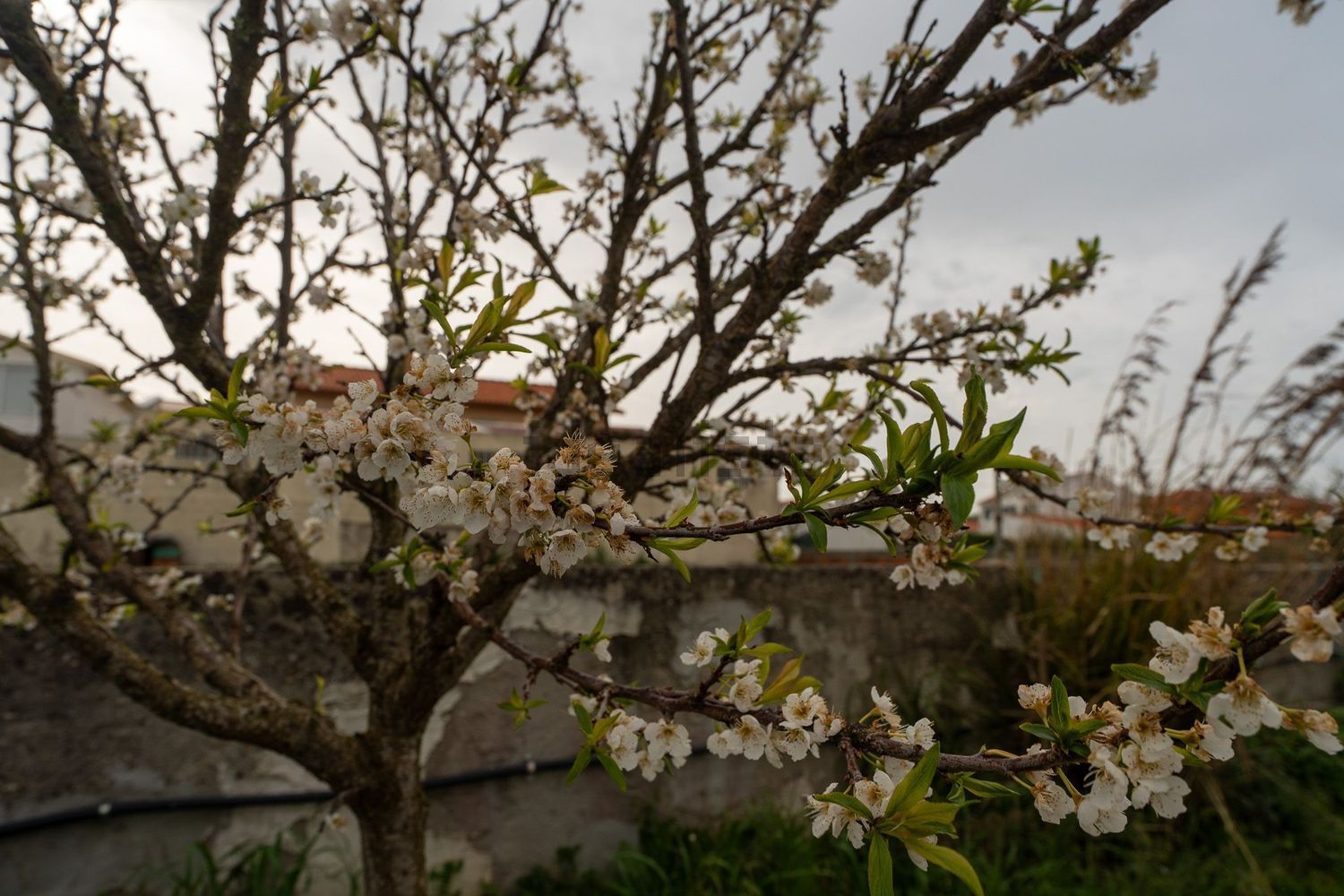 小楼房或独栋别墅出售在Rua do Casaleiro, 9 - 视线