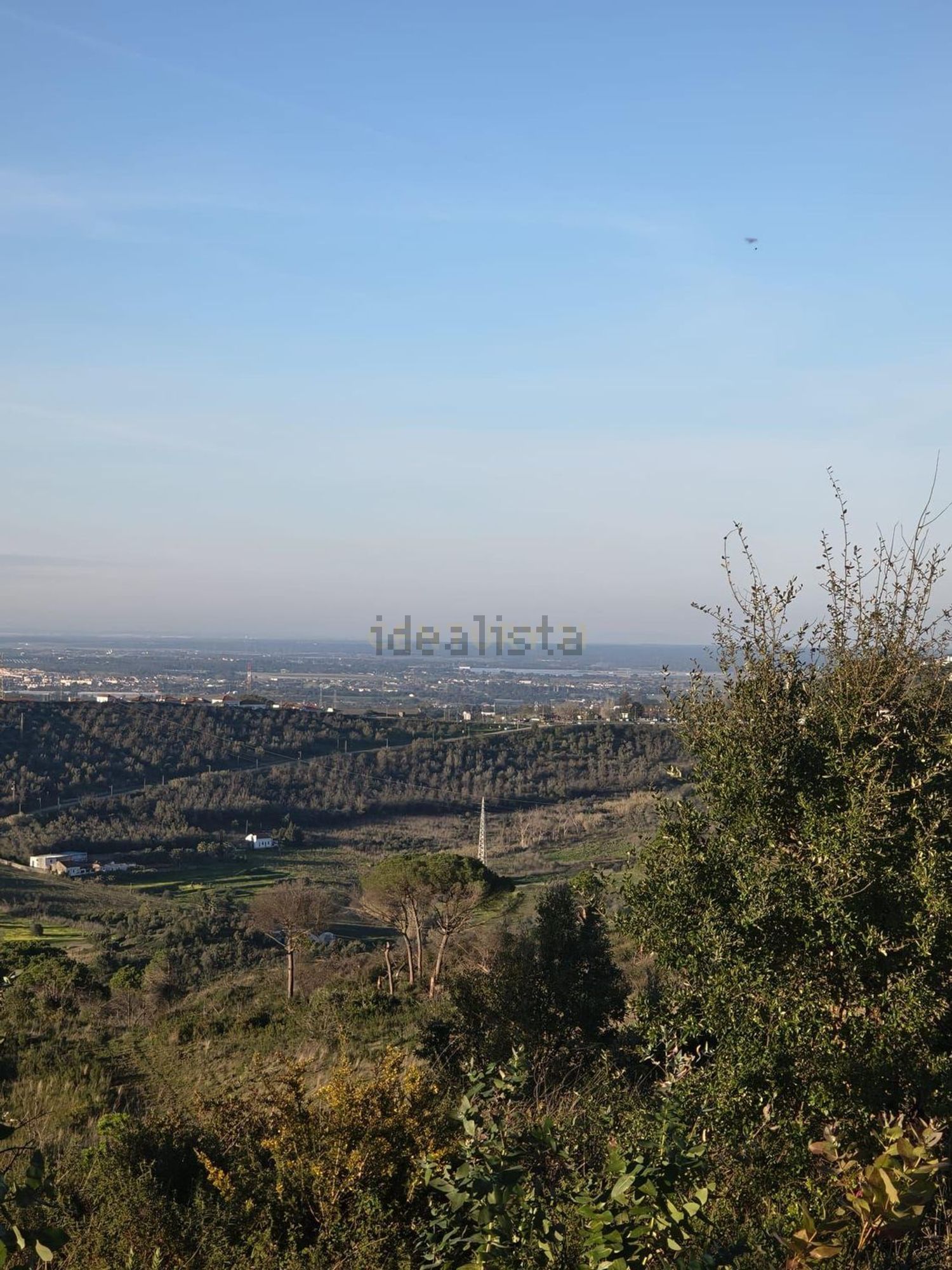 庄园出售Cm1052 s/n - 视线