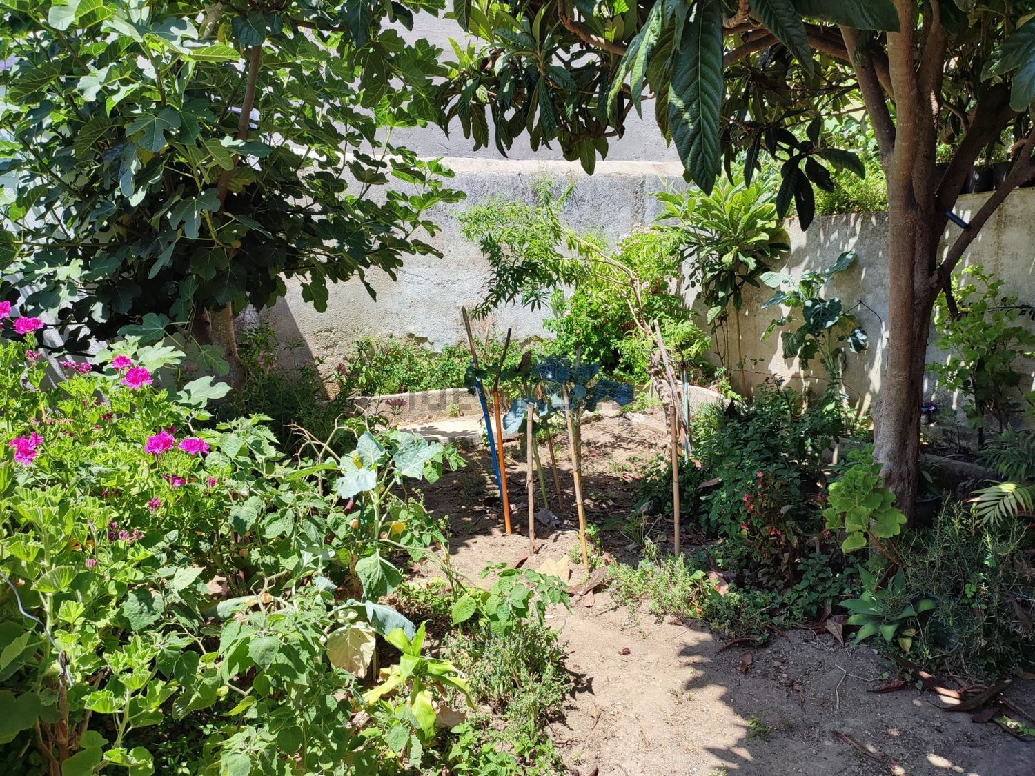 公寓 t1出售在Avenida do Cristo Rei, 26 a - 花园