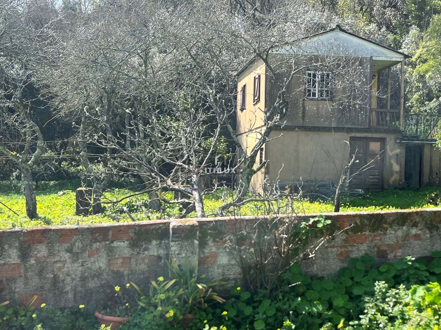 庄园出售在São Pedro de Penaferrim - 外立面