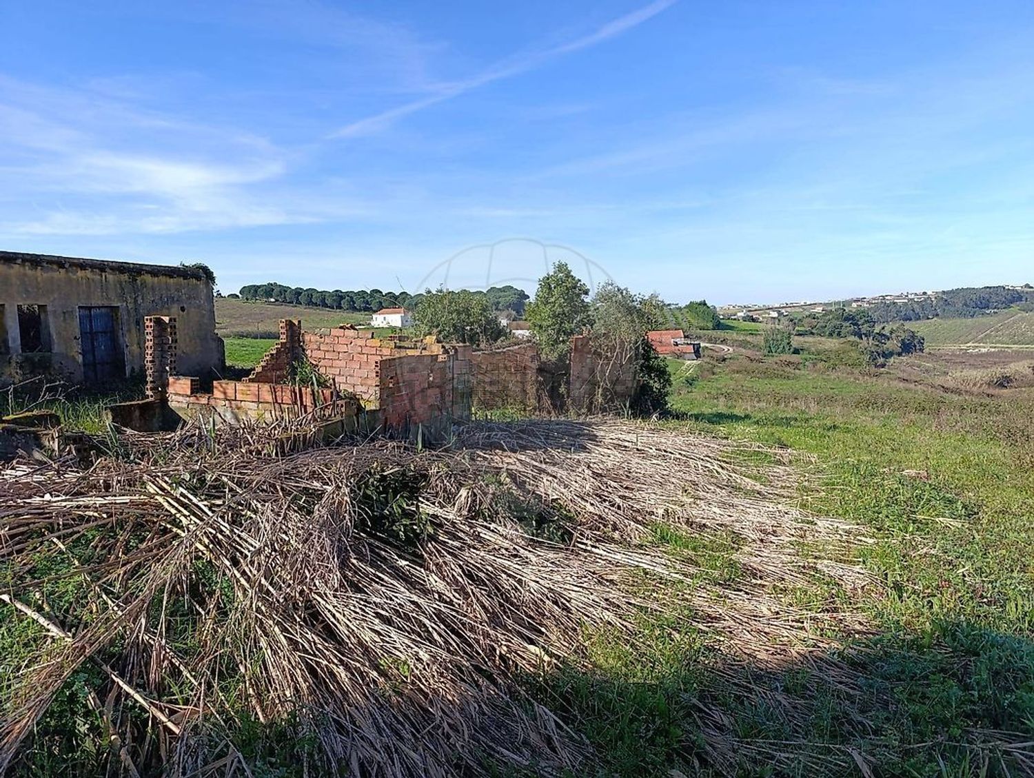 小楼房或独栋别墅出售在Rua Almeida - 花园