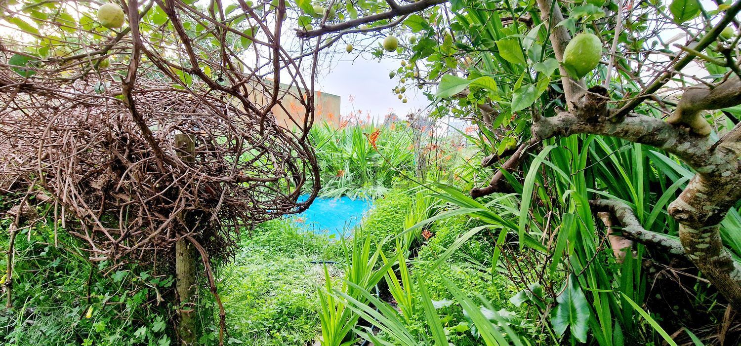 出租公寓 t2在Estrada de Paço de Arcos - 花园