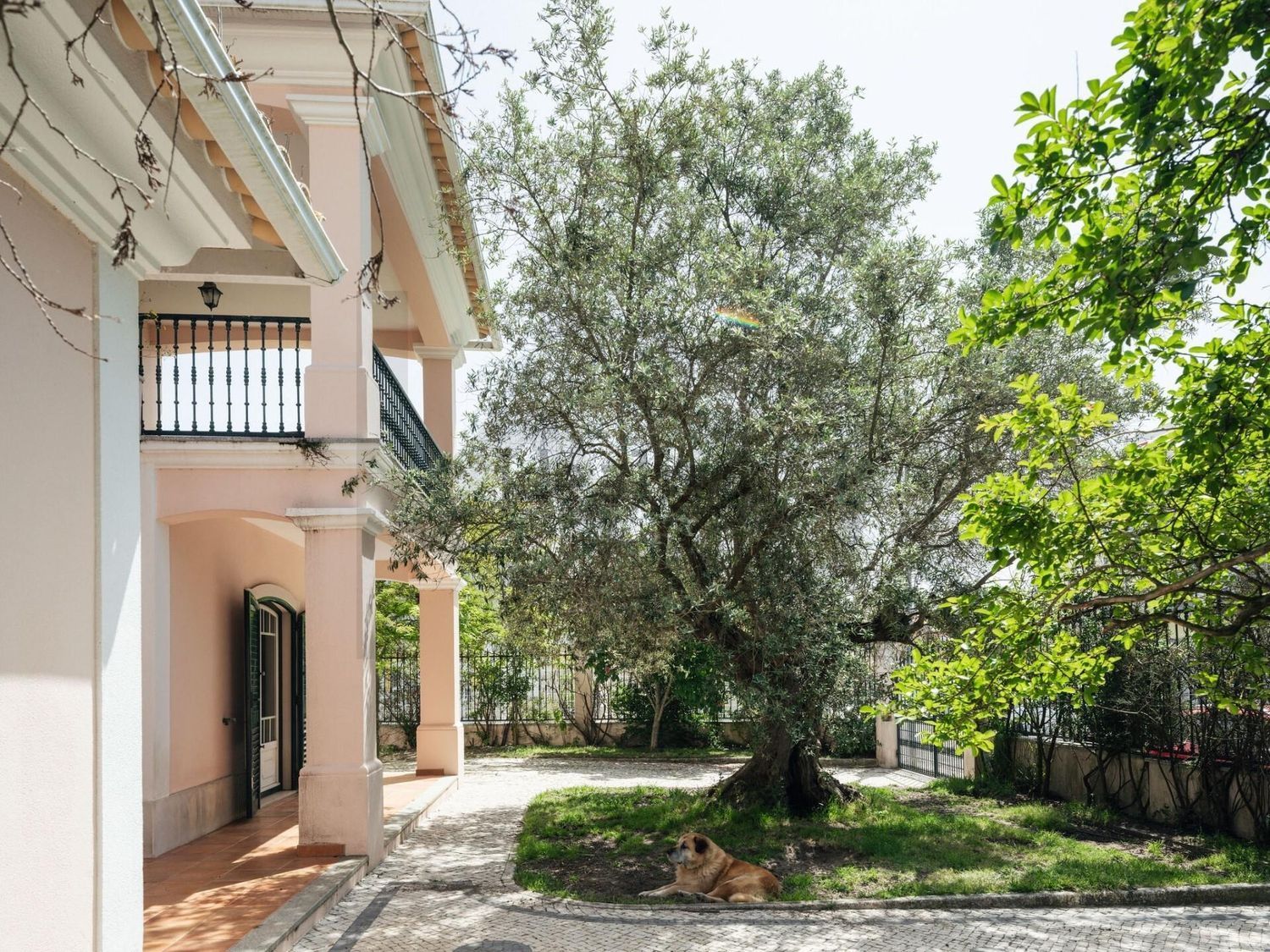 小楼房或别墅出售在Rua Natália Correia - 外立面