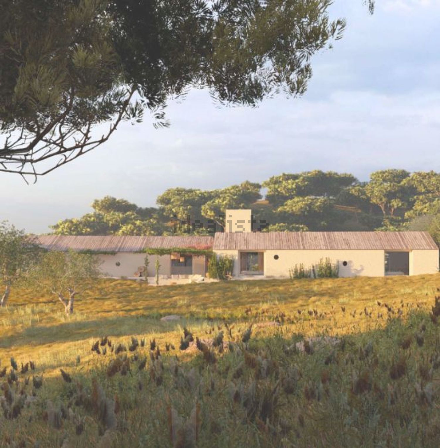 庄园出售在Estrada do Vale dos Barris - 环境