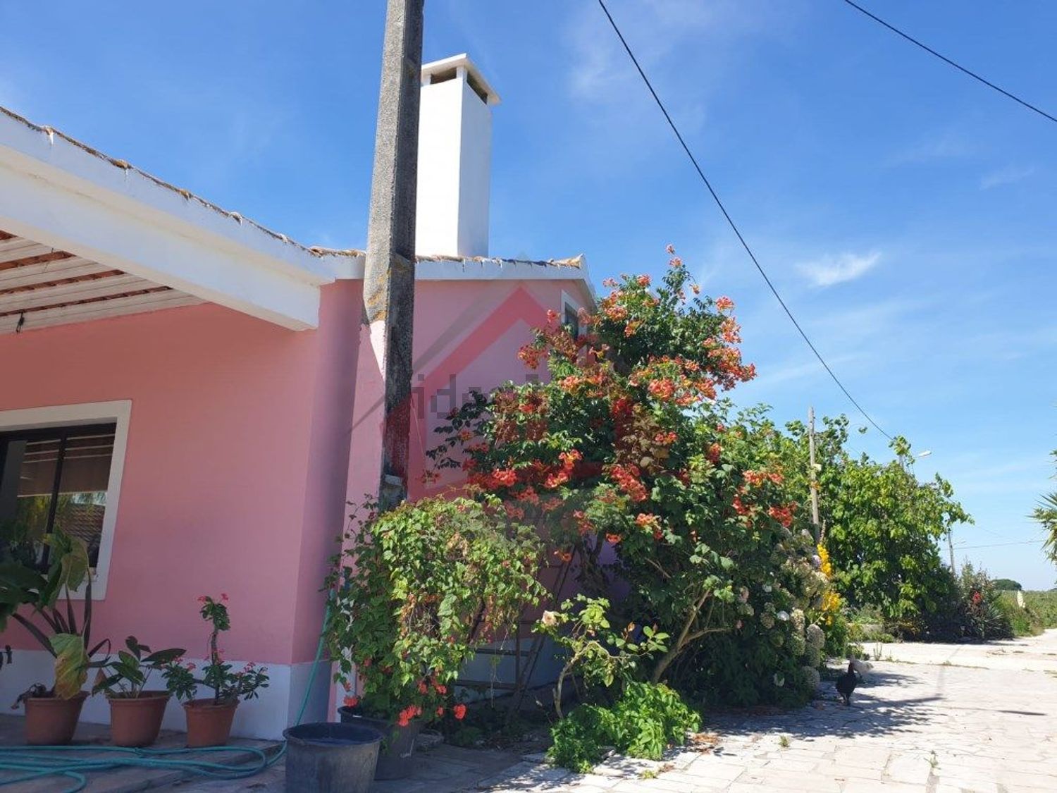 庄园出售在Largo da Fonte - 外立面