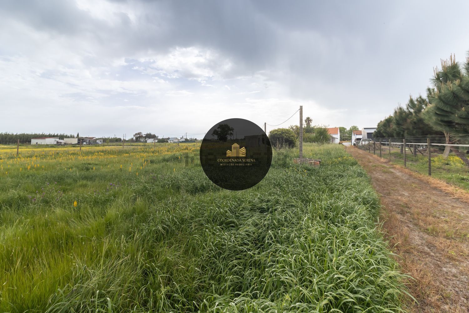 小楼房或独栋别墅出售在Cascalheira - Venda do Alcaide - 花园