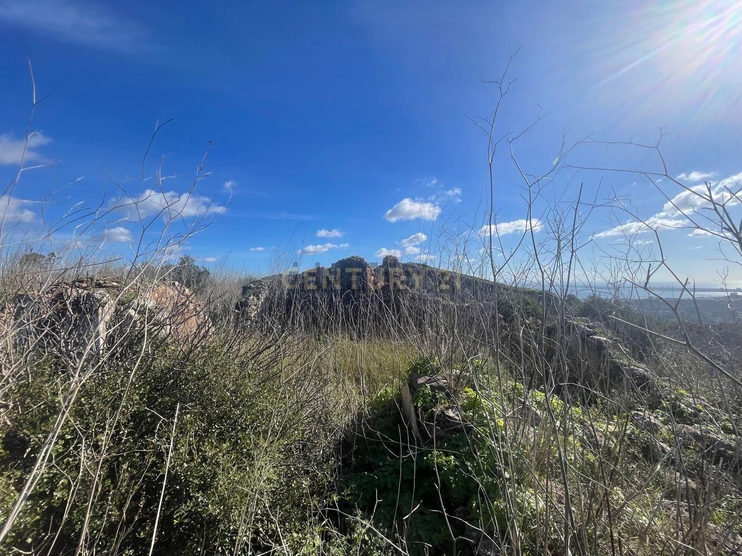 庄园出售Cm1052 s/n - 视线