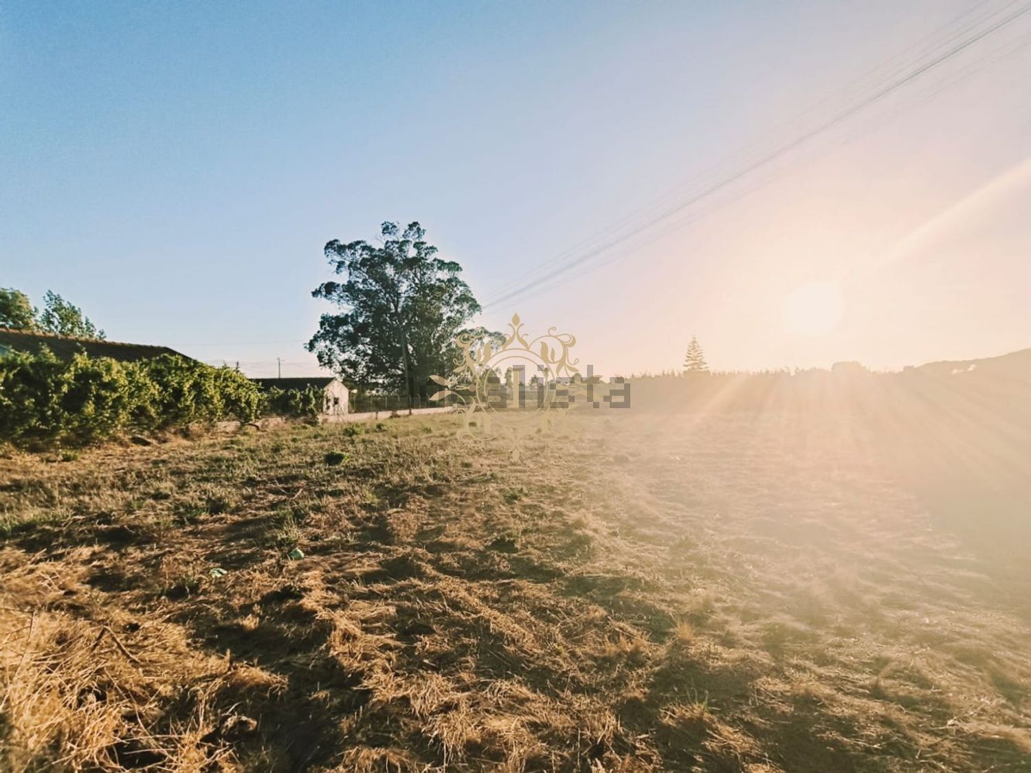 小楼房或独栋别墅出售在Poceirão e Marateca - 花园