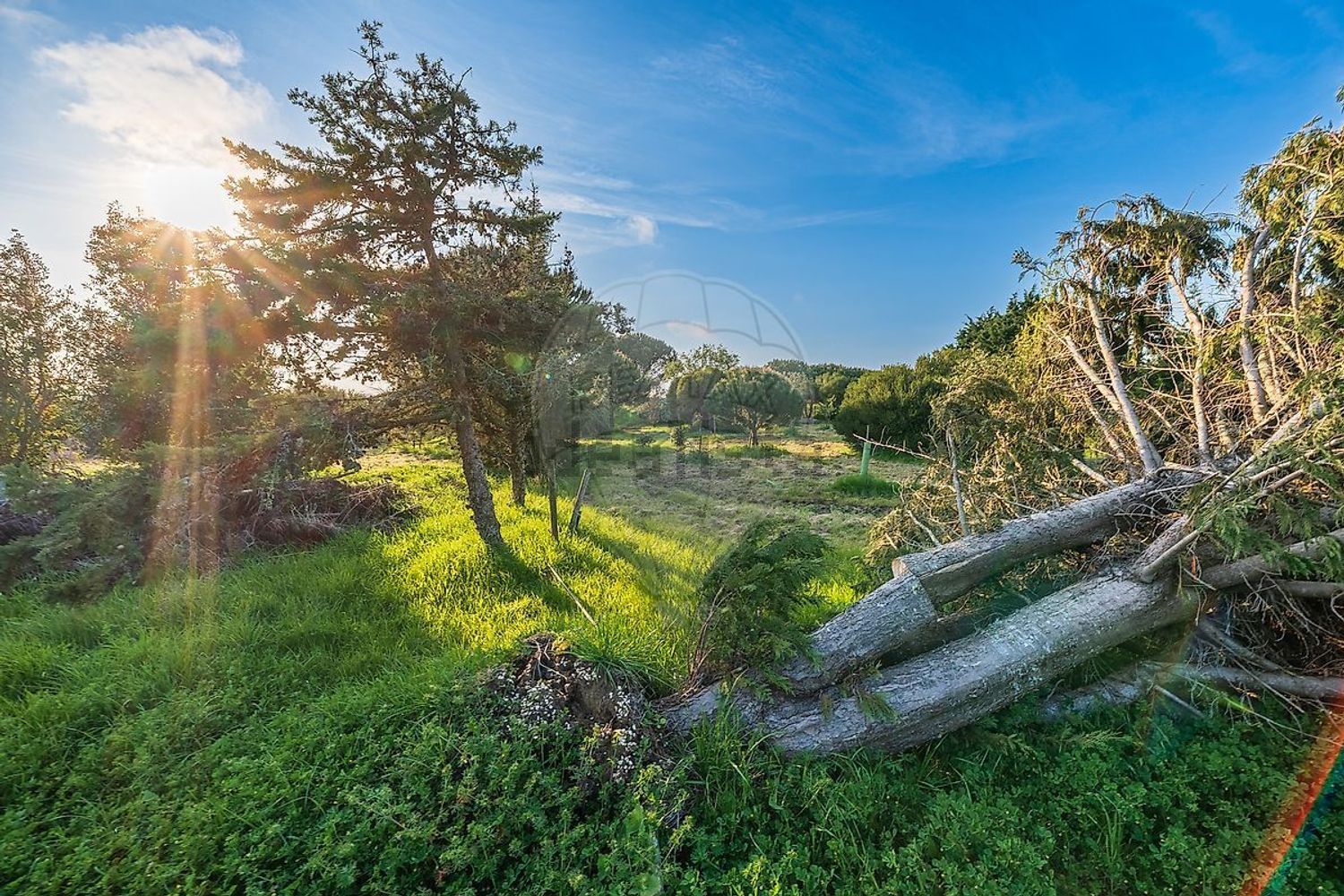 小楼房或独栋别墅出售在Rua das Macieiras - 花园