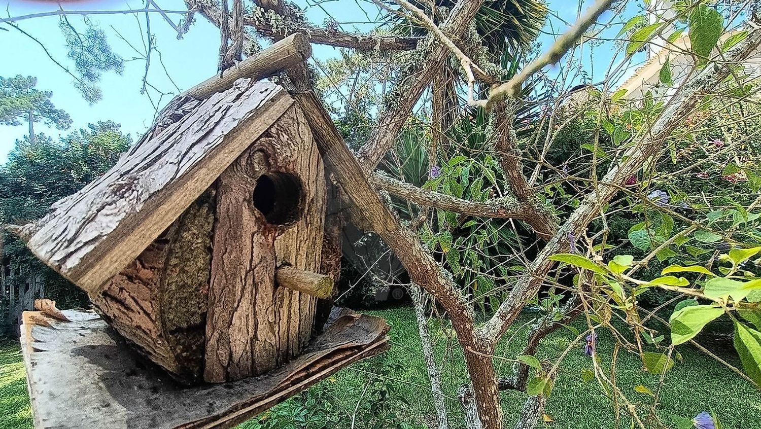 小楼房或独栋别墅出售在Rua da Mofina - 照片