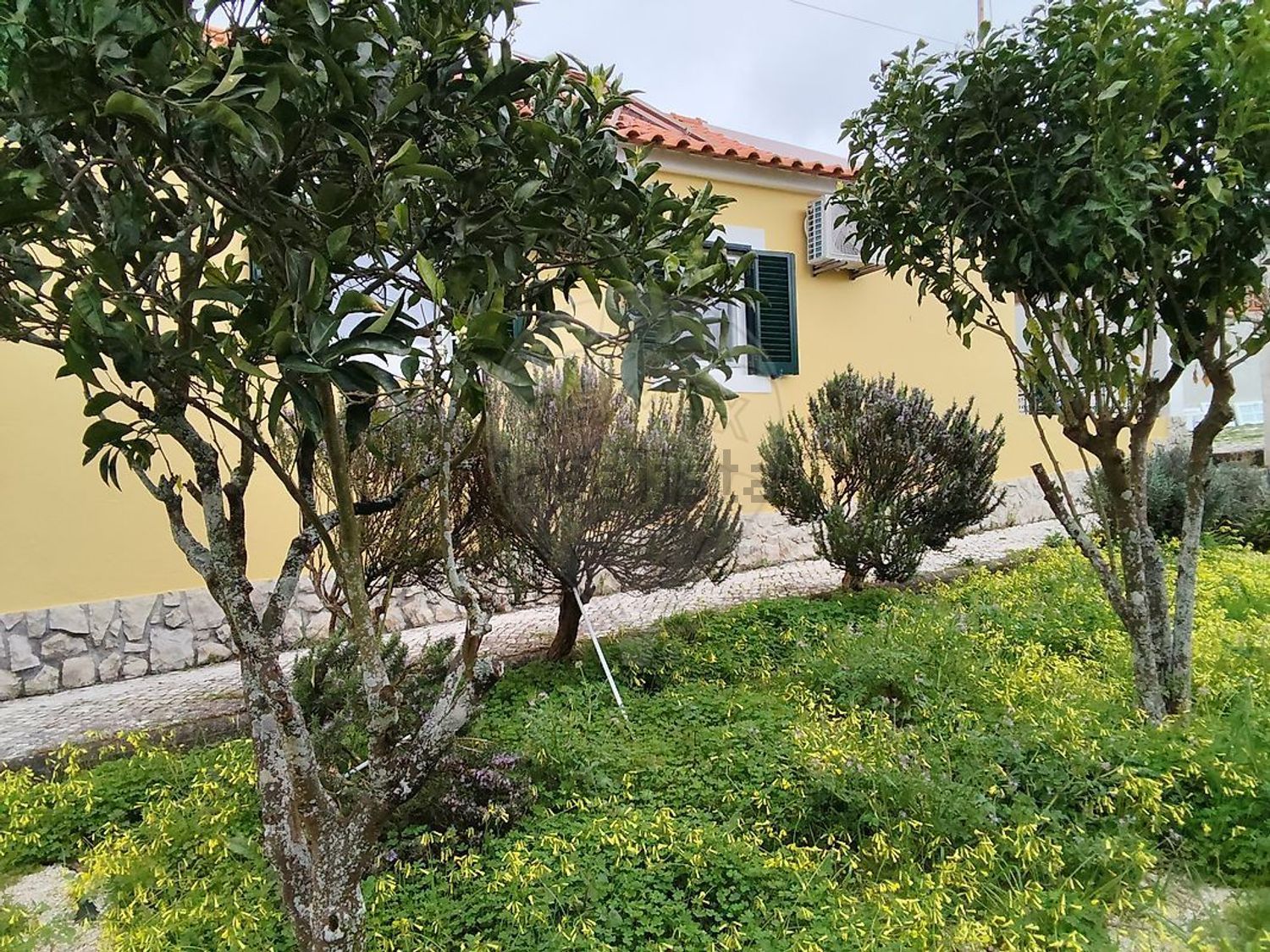 小楼房或独栋别墅出售在São Quintino - 外立面