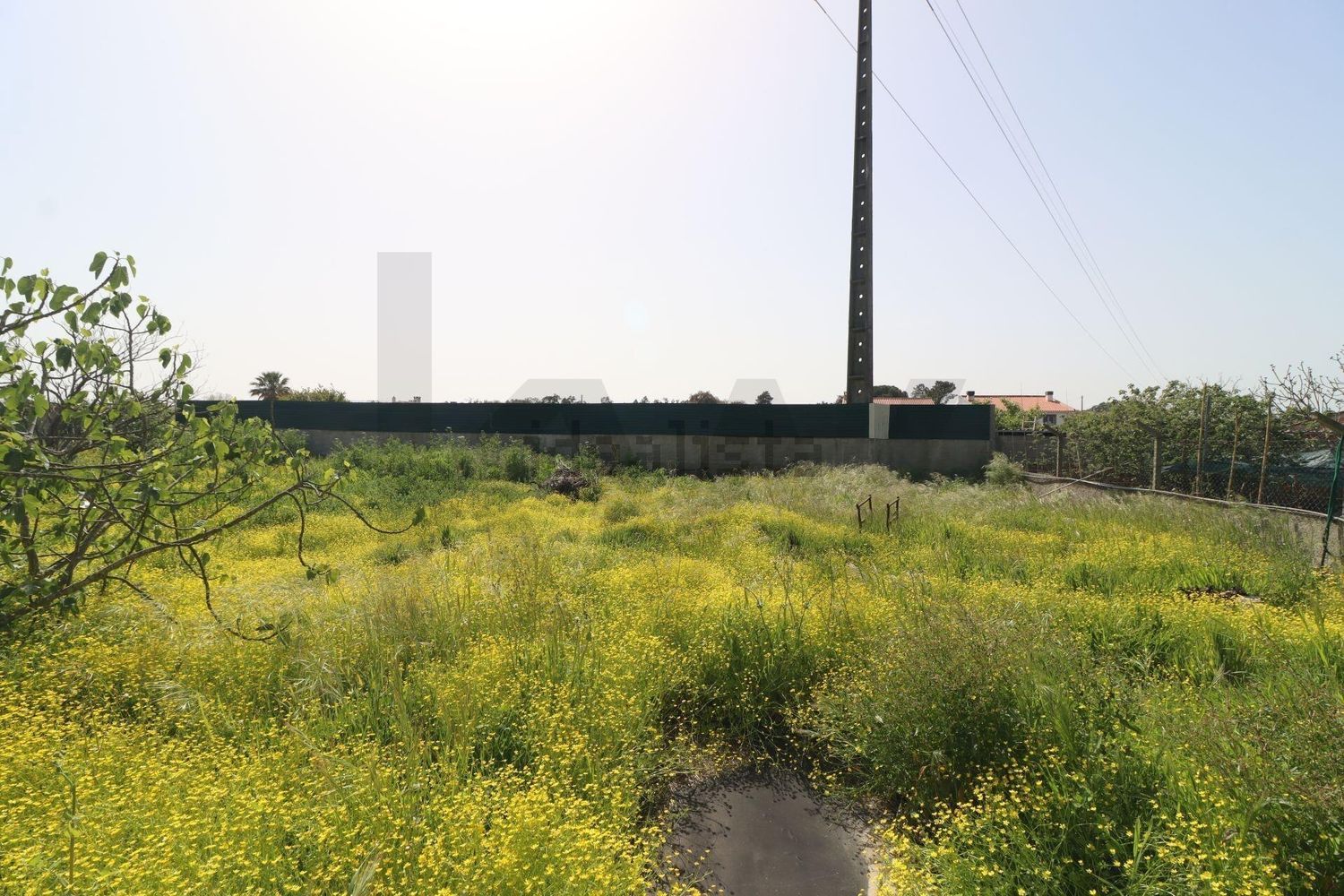 小楼房或独栋别墅出售在Rua António Aleixo - 花园