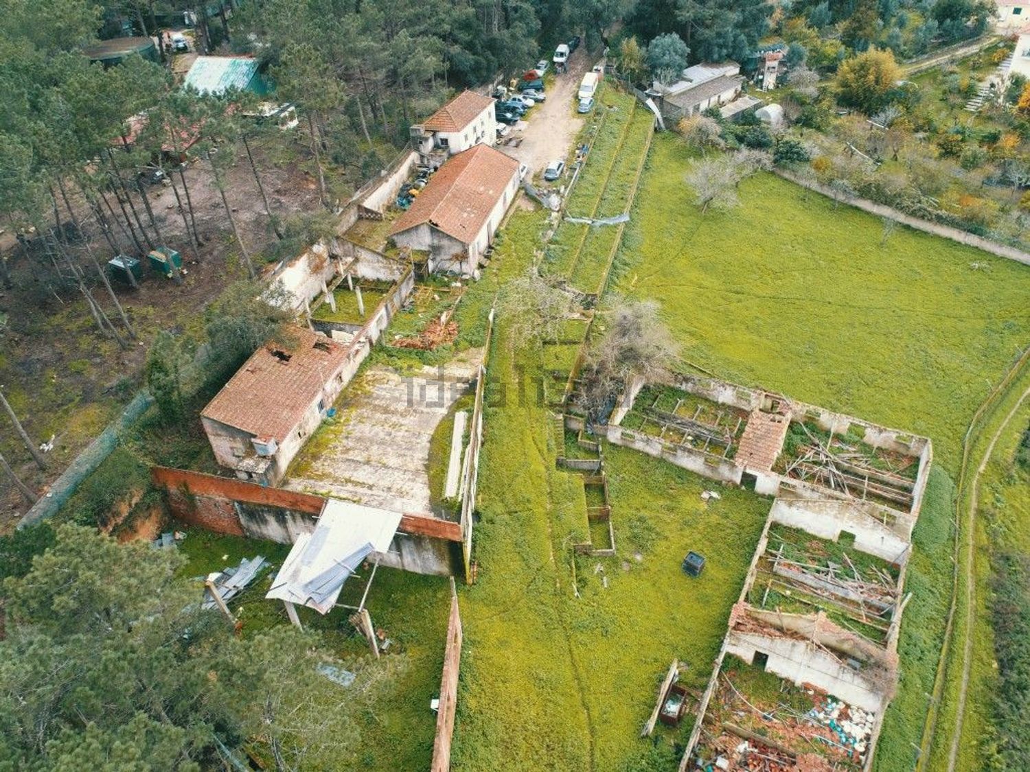 庄园出售在Lousa - 视线