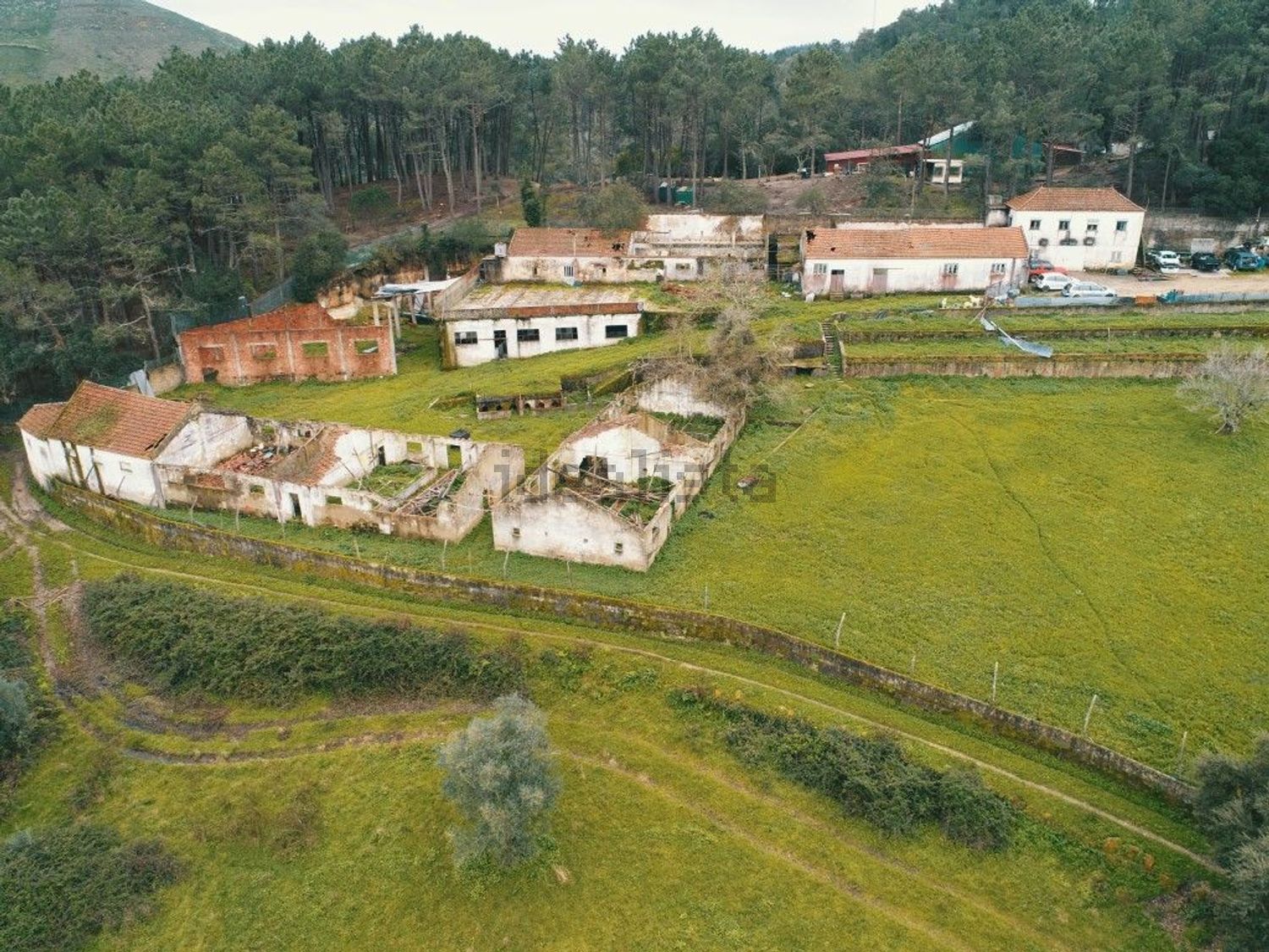 庄园出售在Lousa - 照片