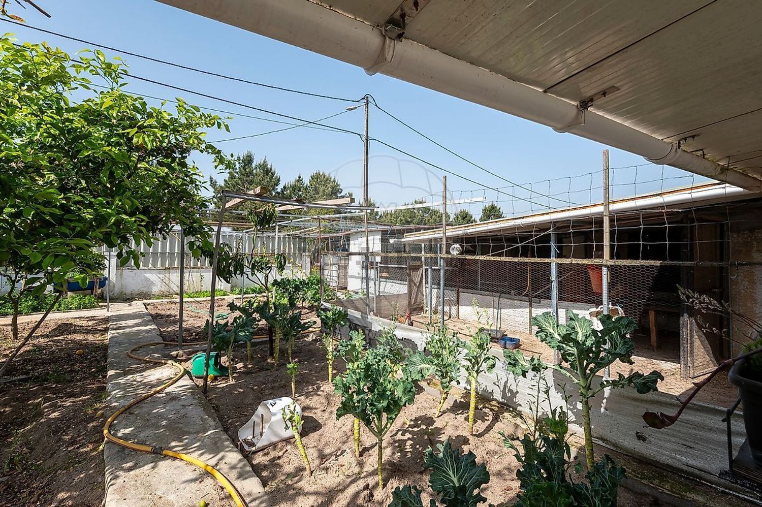 小楼房或独栋别墅出售在Rua Bento de Jesus Caraça - 照片