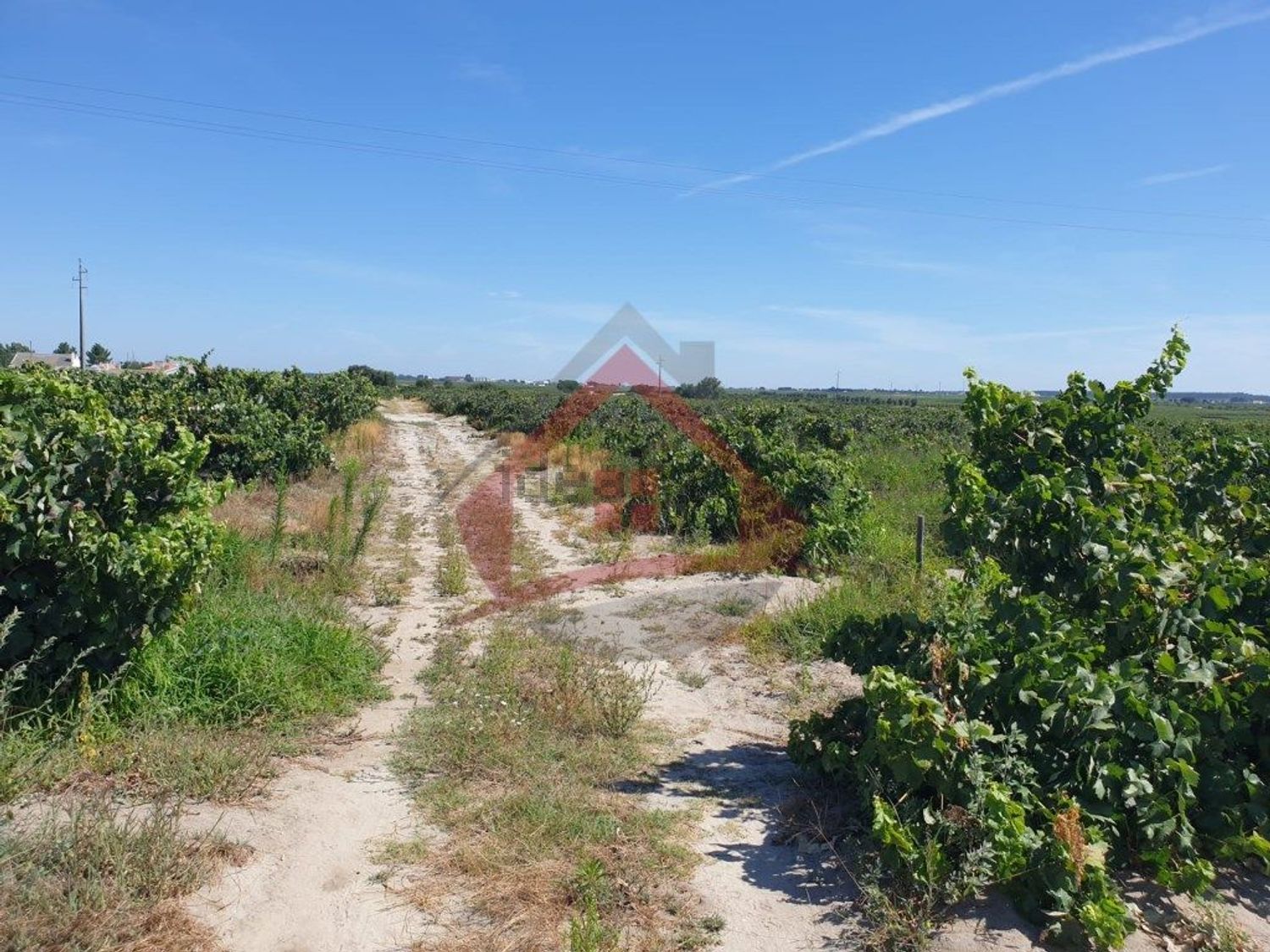 庄园出售在Largo da Fonte - 花园