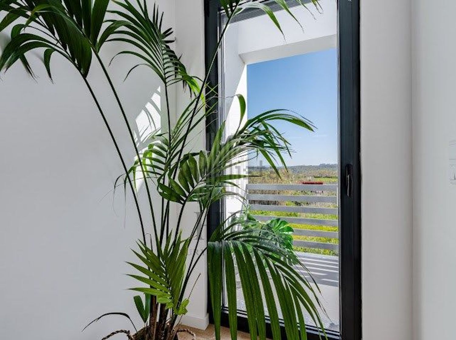 小楼房或独栋别墅出售magoito - 详情