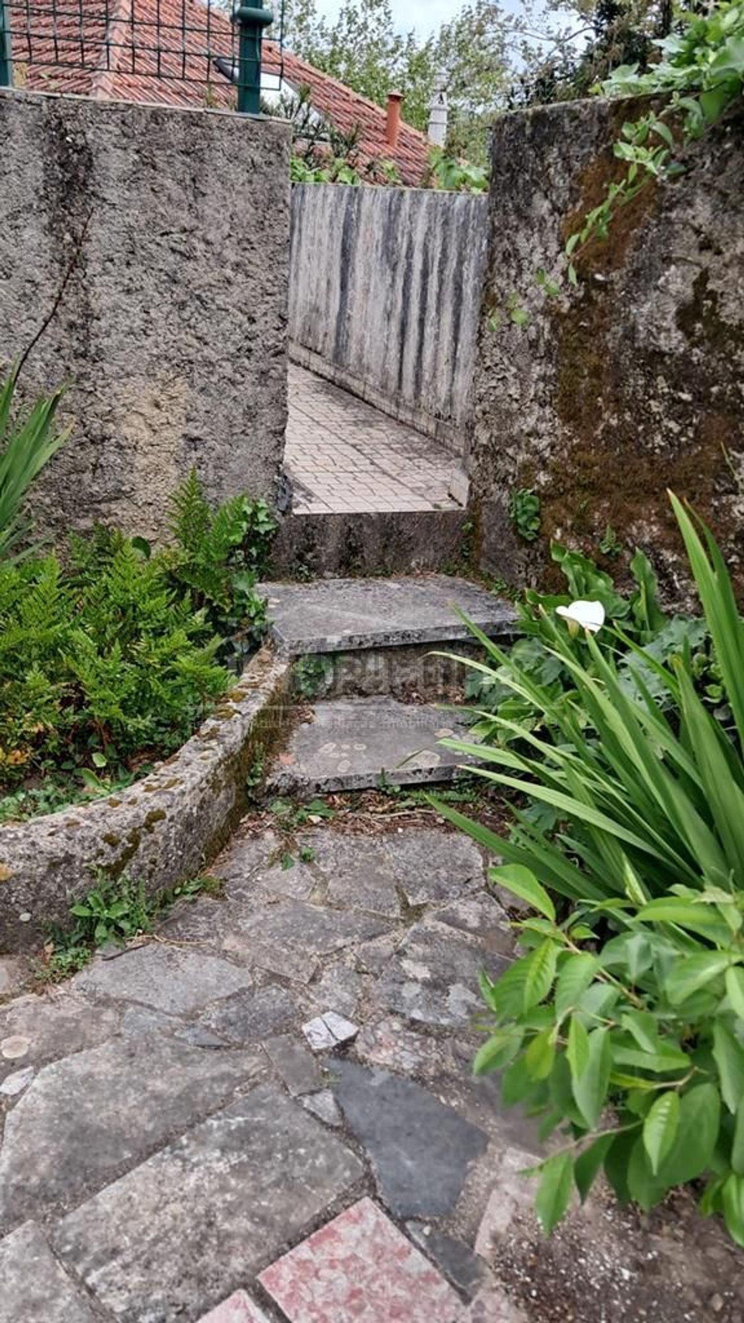 小楼房或独栋别墅出售在Rua Serpa Pinto s/n - 花园