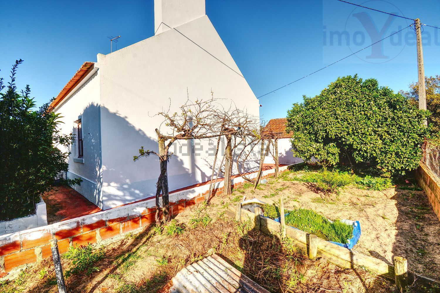 庄园出售在Melides - 照片