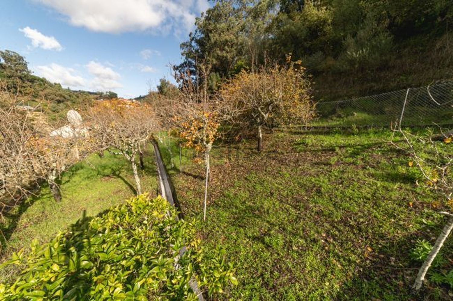 小楼房或独栋别墅出售在Travessa Linhas de Torres - 花园