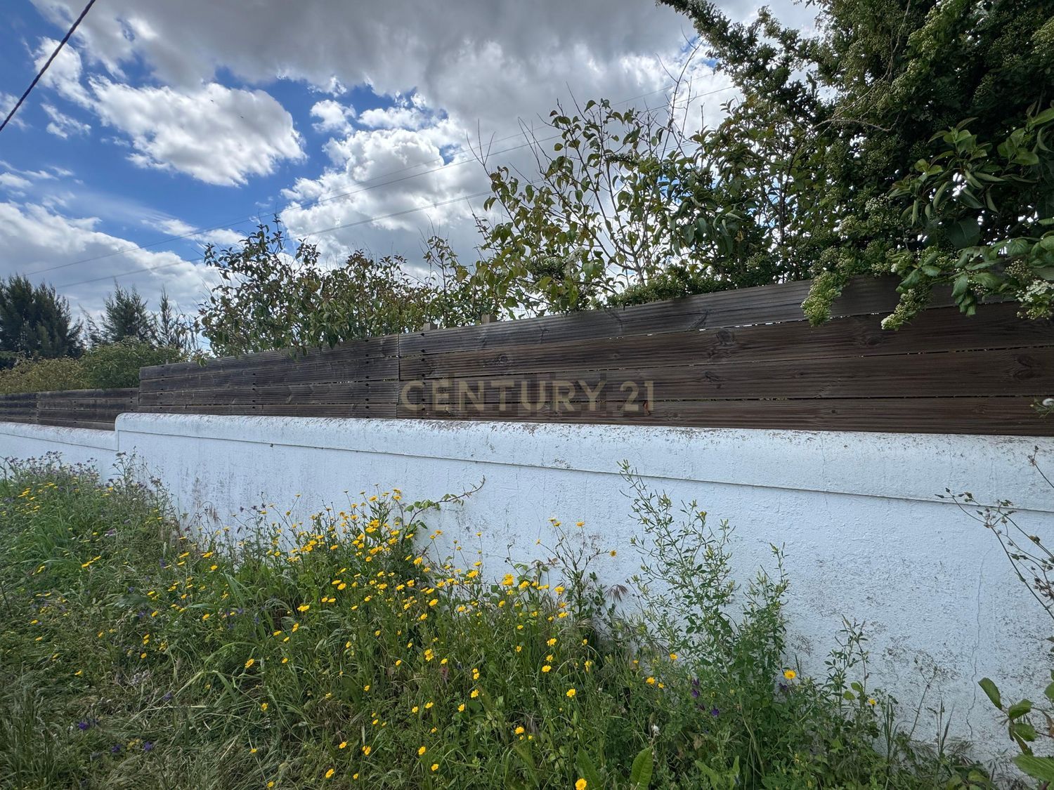 农庄出售在Estrada de Miraventos, 12 - 花园