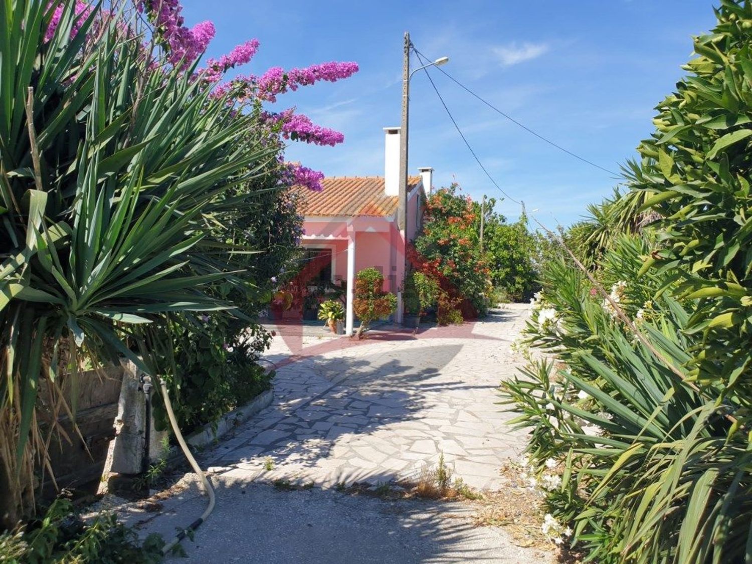 庄园出售在Largo da Fonte - 外立面