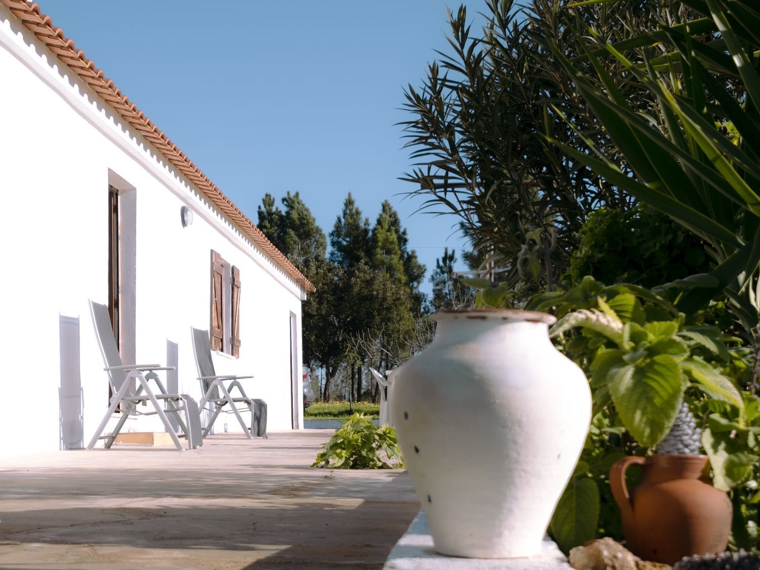 小楼房或独栋别墅出售Monte Forinho - 外立面