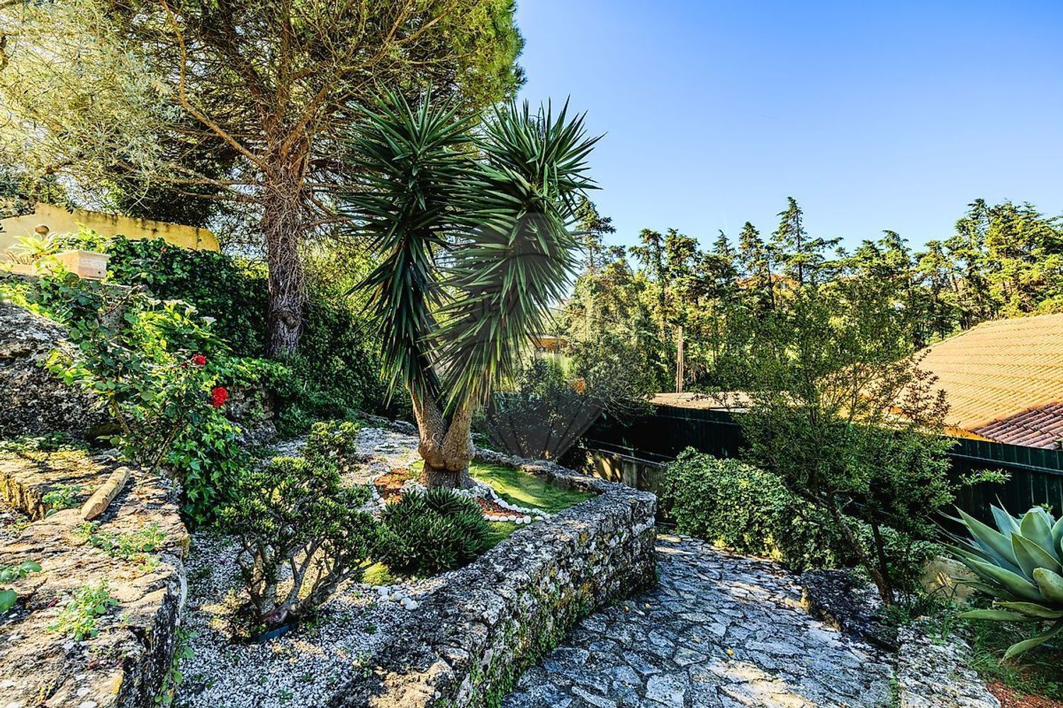 小楼房或独栋别墅出售在Rua do Rio Velho - 花园