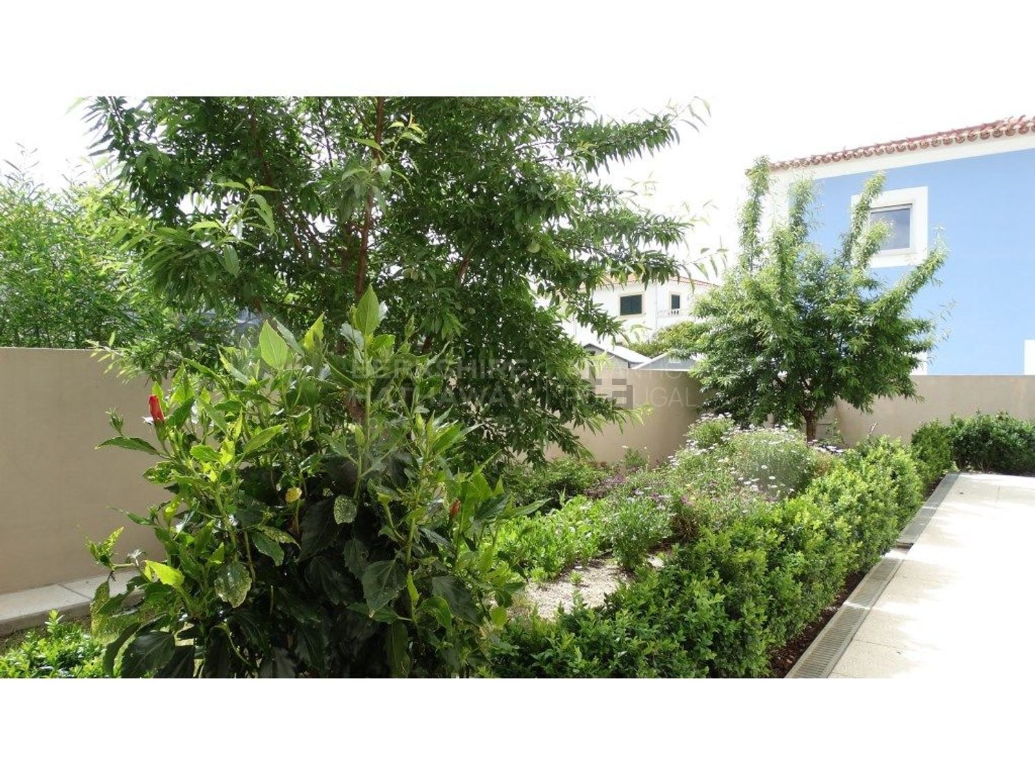 小楼房或独栋别墅出售在Porto Covo - 花园