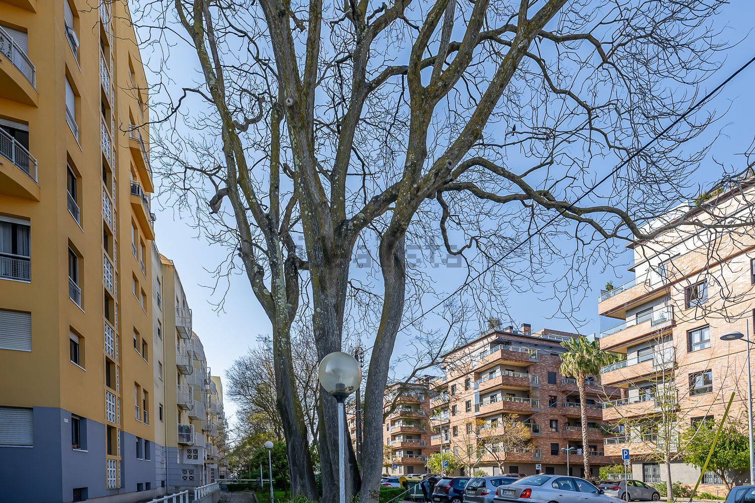 出租公寓 t2在Avenida Doutor Alfredo Bensaúde - 视线