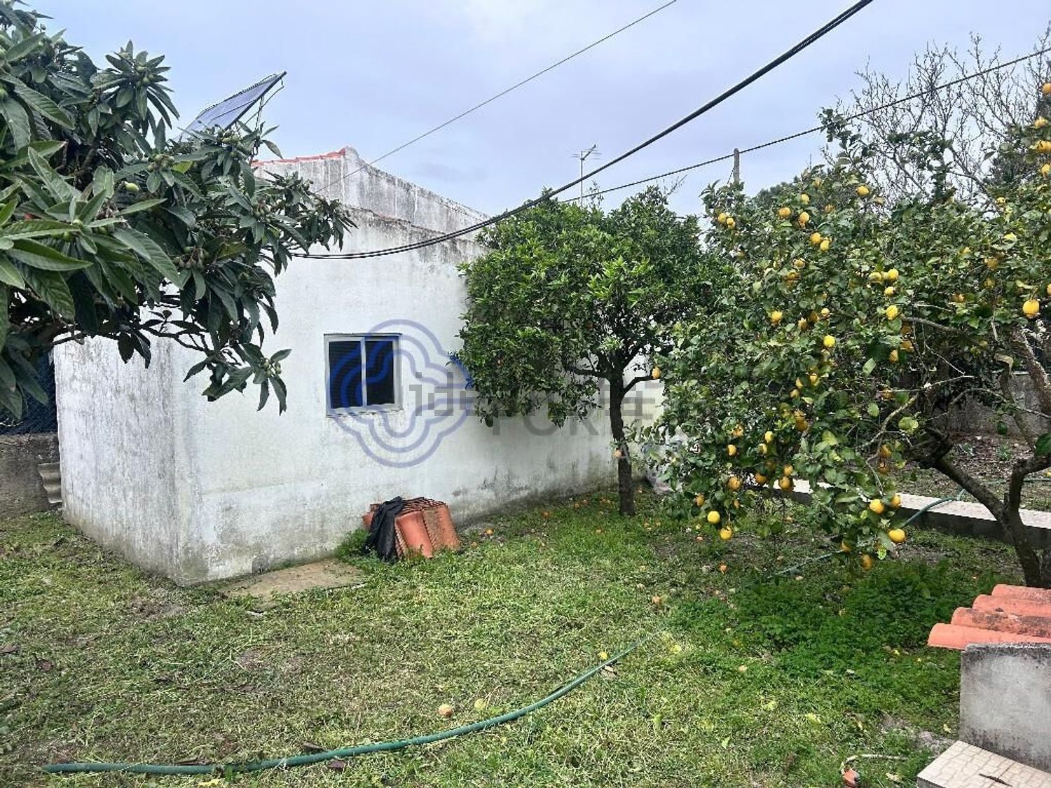 小楼房或别墅出售在Rua Primavera - 花园