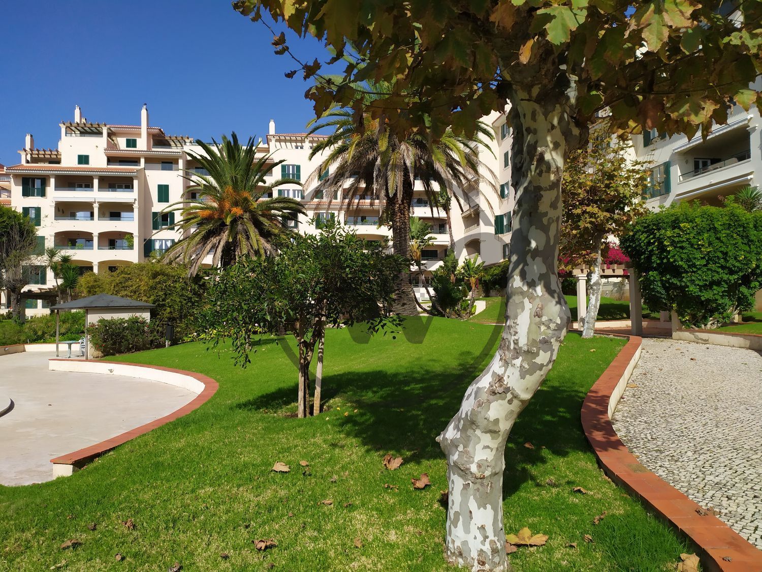 出租公寓 t4在Avenida Manuel Júlio Carvalho e Costa - 游泳池