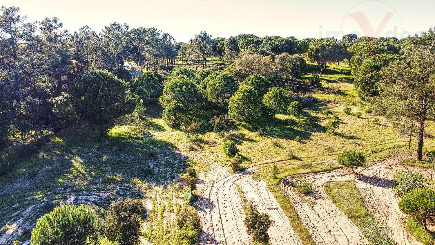 庄园出售在Melides - 花园