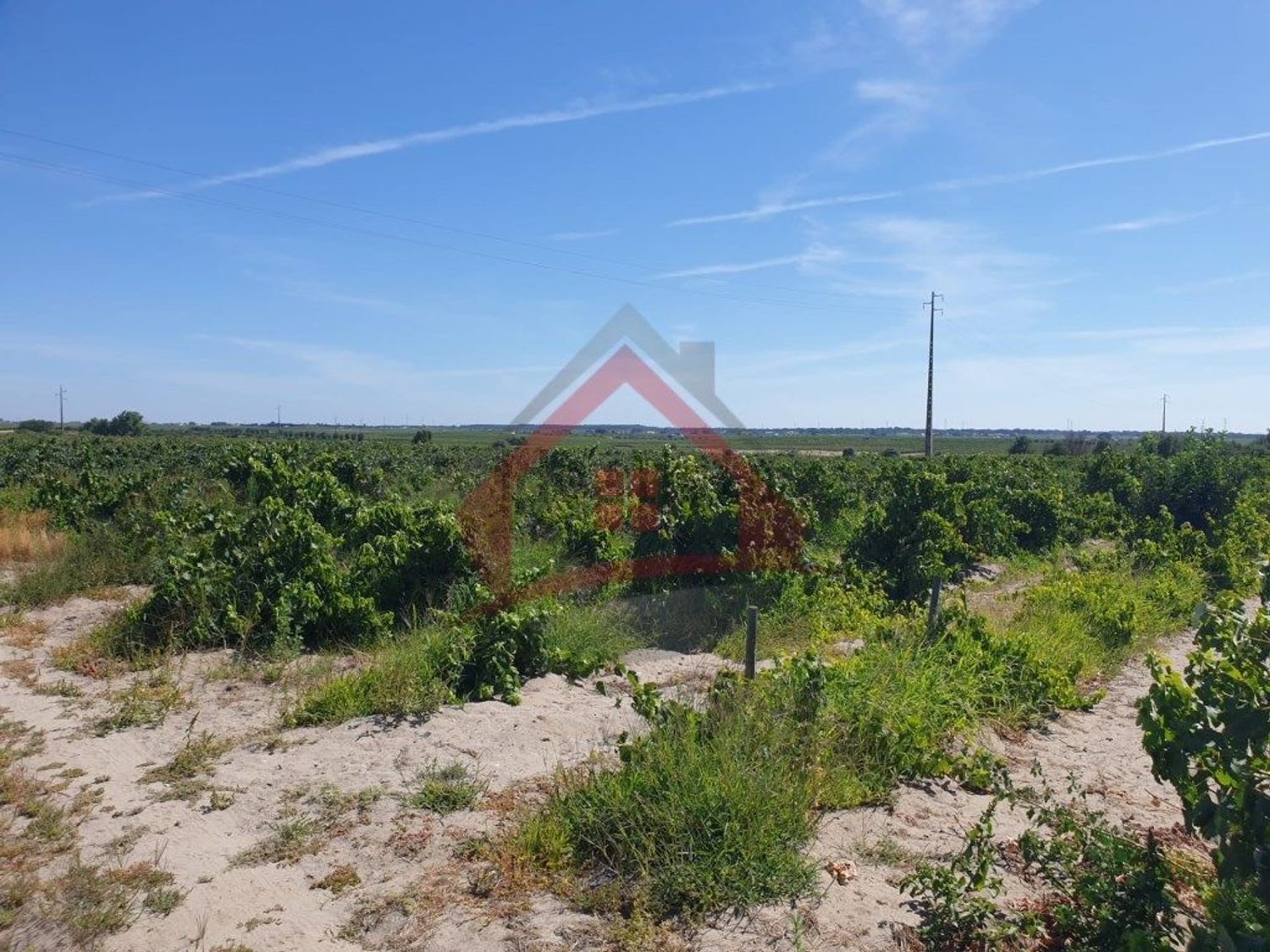 庄园出售在Largo da Fonte - 视线