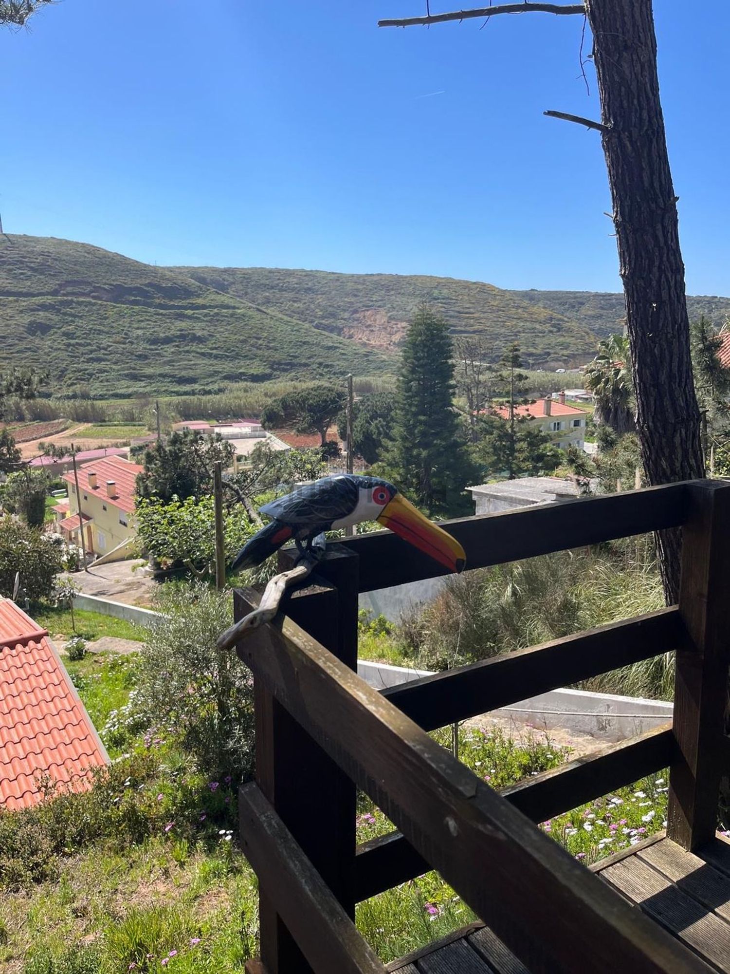 出租房间在Rua Ribeira do Barril, 18 - 视线