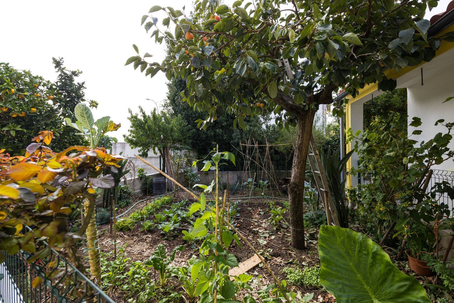 小楼房或独栋别墅出售在Rua dos Malmequeres, 2 - 花园