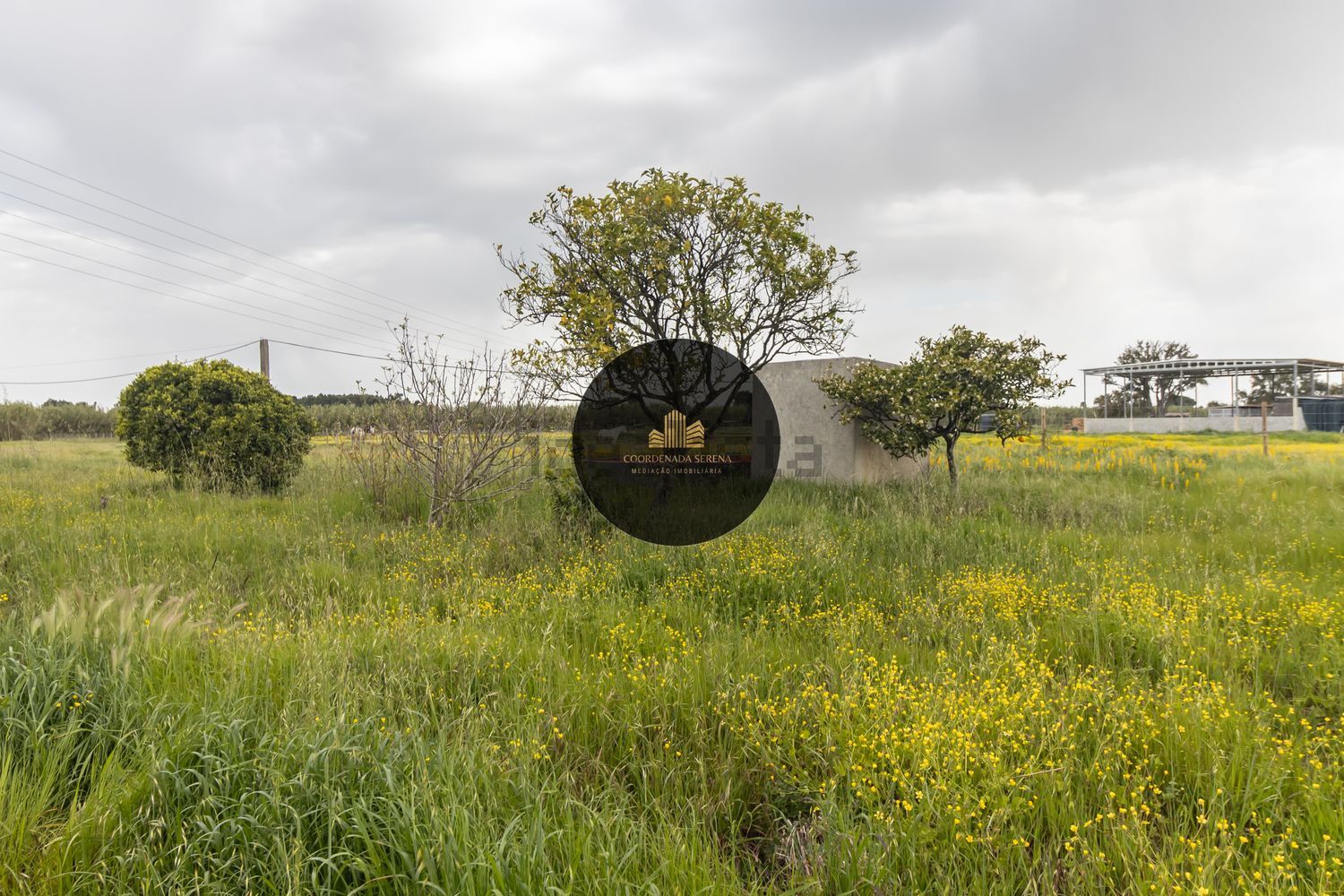 小楼房或独栋别墅出售在Cascalheira - Venda do Alcaide - 花园
