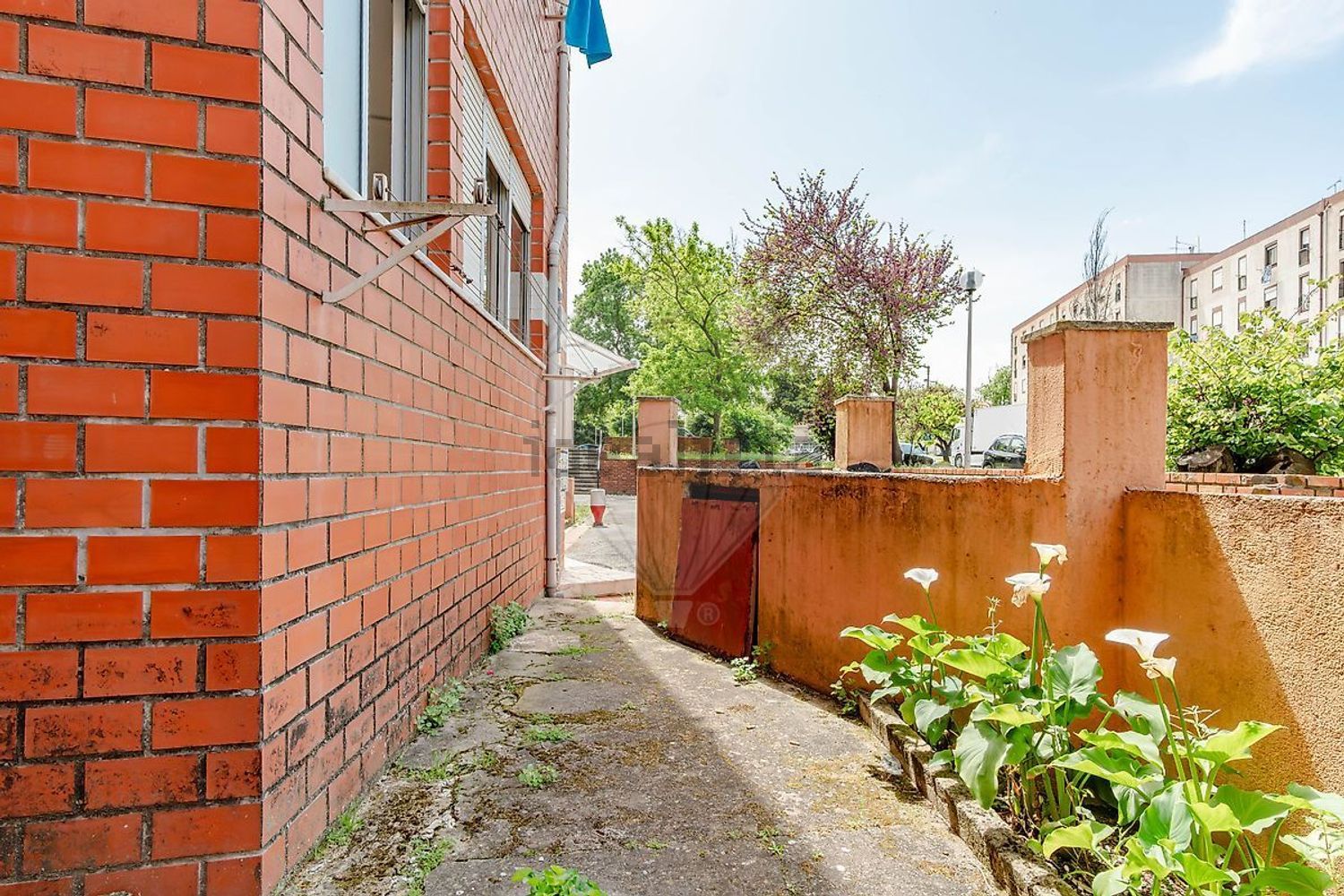 出租公寓 t2在Olivais - 照片