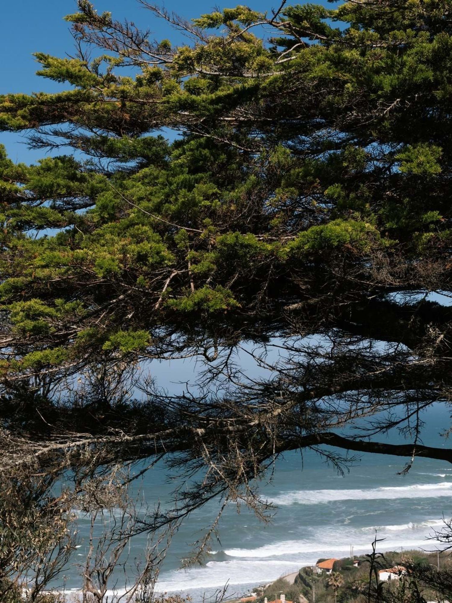 小楼房或别墅出售在Azenhas do Mar - Praia das Maças - Praia Grande - 视线